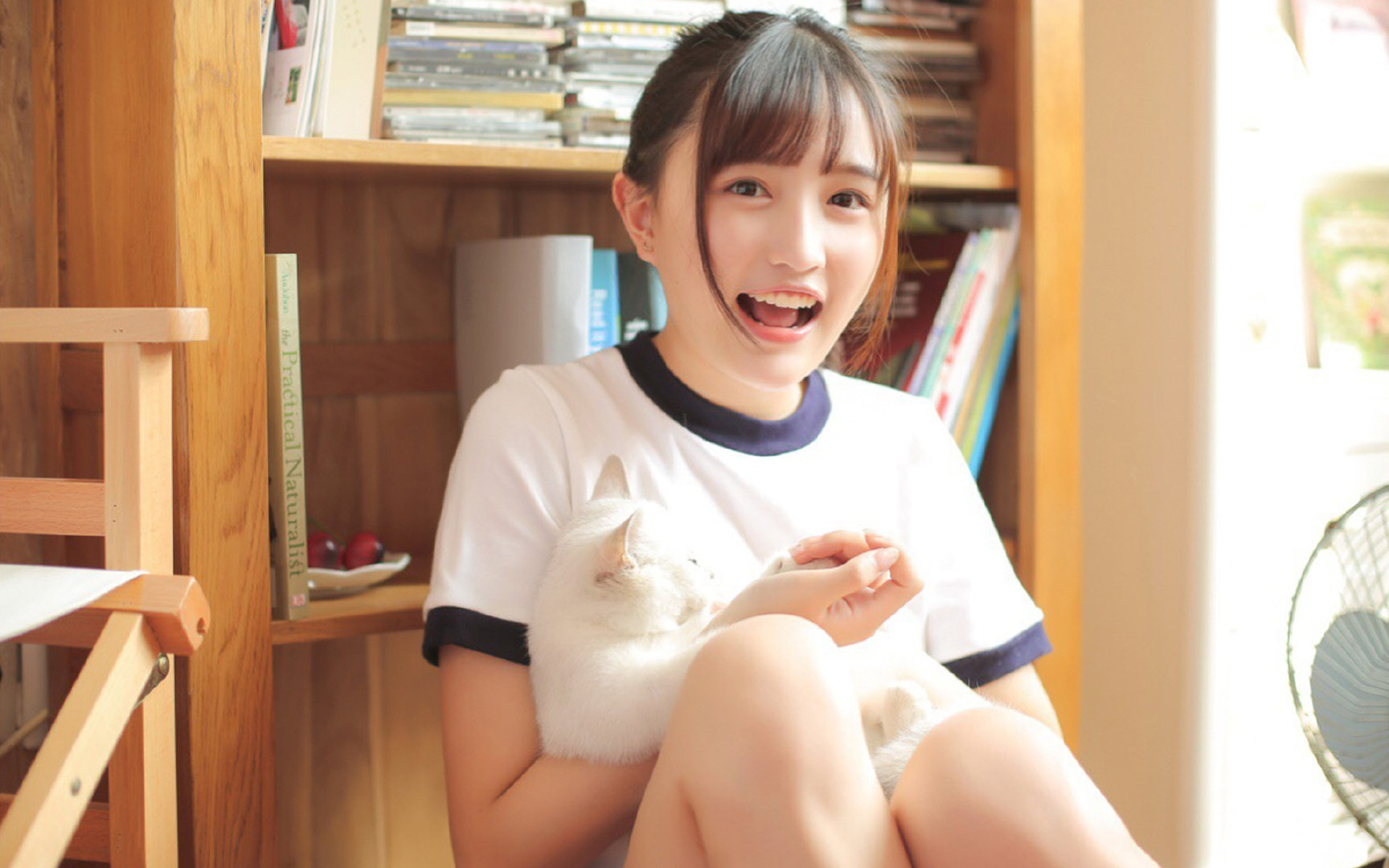 安哥拉雄狮的咆哮，德里赫特在重压之下的黎明破晓