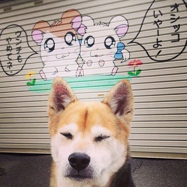 班凯罗轰下40+10却难救主，东契奇三双引领独行侠掀翻魔术