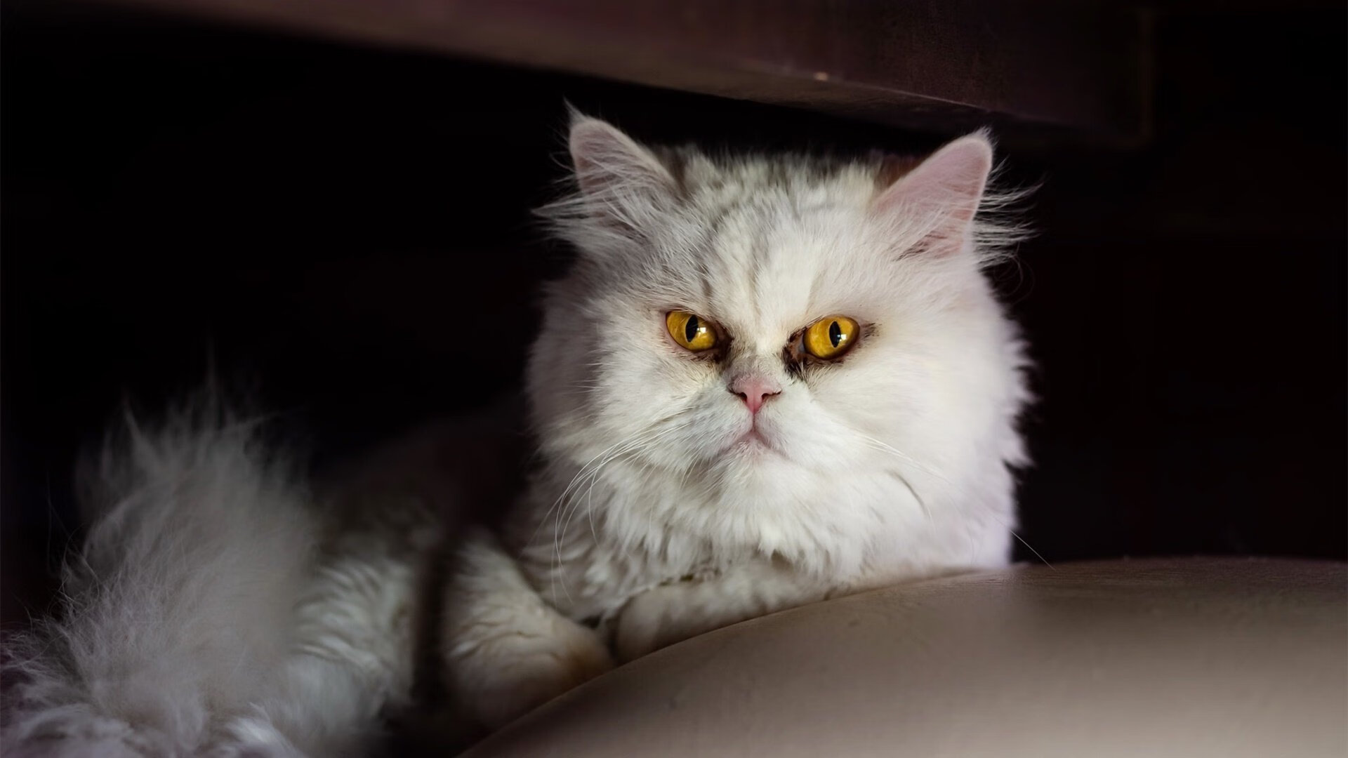 劳塔罗节奏完全掌控，土耳其收割克罗地亚的战术魔法