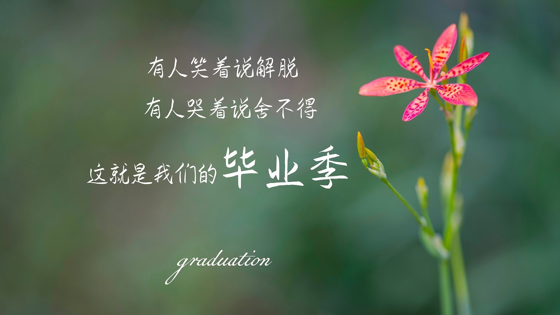 当皇马遇见湖人，西决生死战之夜，本泽马的终极加冕