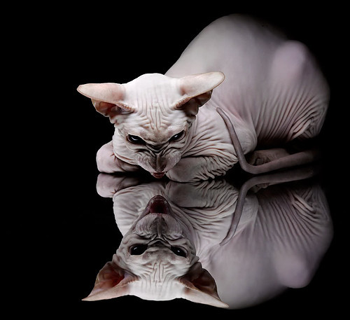 跨界碾压，当湖人遇上上海队，保罗的降维打击证明了什么？