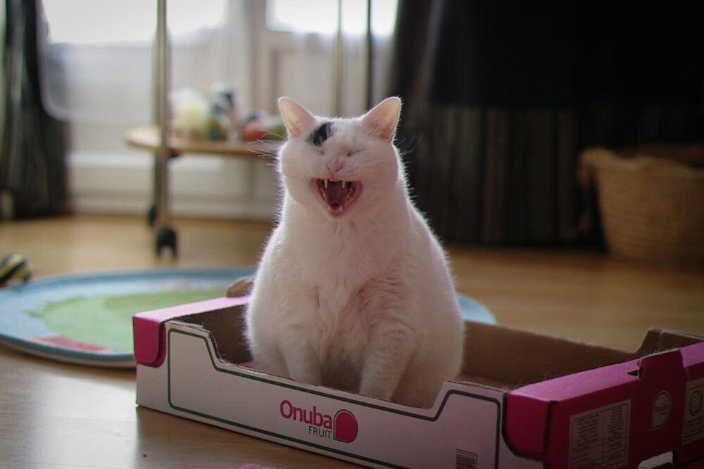 开云体育-唯一改写结局的人，新疆队强行终结鹈鹕，米切尔成为关键先生